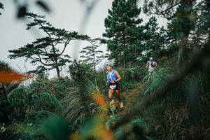 BIB: 
                            <button type="button" onclick="openModal(25258462)" class="btn btn-primary btn-sm float-right btn-popup" data-toggle="modal" data-target=".modal-high-quality">
                        <i class="fas fa-shopping-cart"></i> Add to Cart
                    </button>
                                            <button type="button" onclick="isThisMe(25258462, true)" class="btn btn-success btn-sm float-right btn-popup btn-isme hidden" data-toggle="tooltip" data-placement="bottom" title="นี่คือรูปของคุณใช่ไหม คลิกที่นี่เพื่อเอาเข้าอัลบั้ม">
                        <i class="fas fa-plus"></i> Add to album
                    </button>
                    <button type="button" onclick="isThisMe(25258462, false)" class="btn btn-warning btn-sm float-right btn-popup btn-isnotme hidden">
                        <i class="fas fa-ban"></i> Remove from album
                    </button>